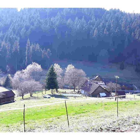Ferienhaus Schwarzwald Seewald Erzgrube Badesee 100% Natur מראה חיצוני תמונה