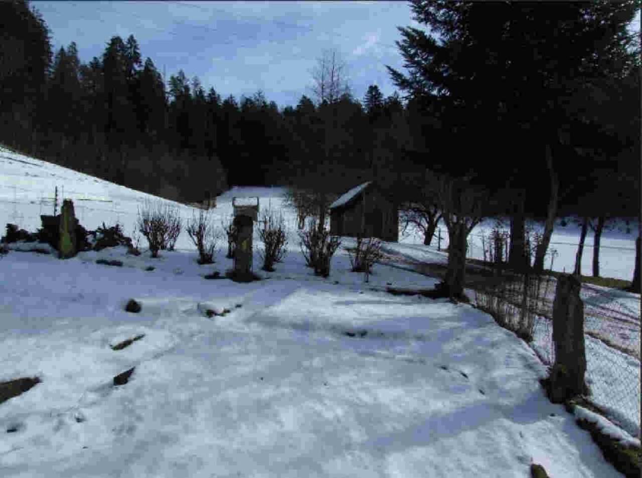 Ferienhaus Schwarzwald Seewald Erzgrube Badesee 100% Natur מראה חיצוני תמונה