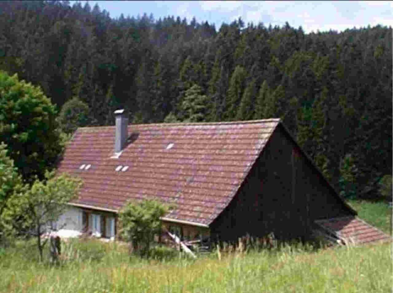 Ferienhaus Schwarzwald Seewald Erzgrube Badesee 100% Natur מראה חיצוני תמונה